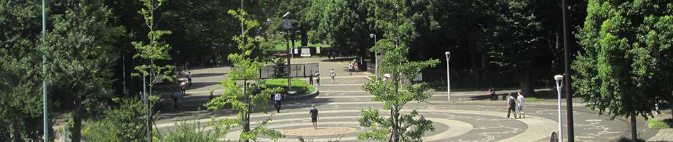 代々木公園、原宿門からのエントランス写真。